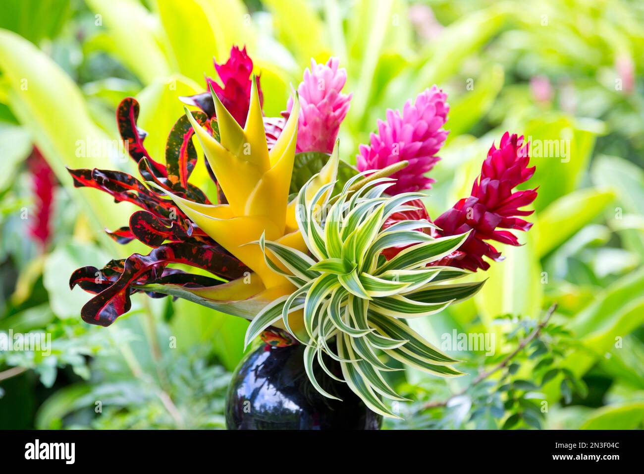 Colorful, tropical flower arrangement in vase with a forest background; Hana, Maui, Hawaii, United States of America Stock Photo