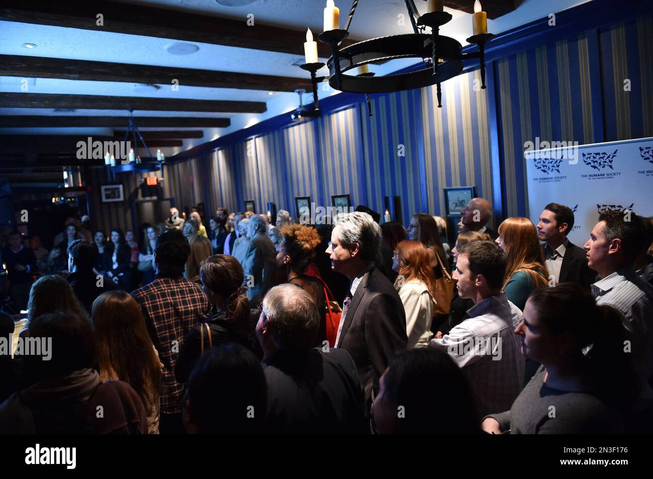 An overview of the crowd at The Humane Society of the United States