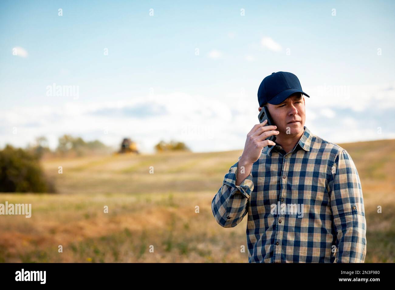 A man standing in a field, talking on a smart phone while monitoring and completing fall canola harvest with a combine in the background Stock Photo
