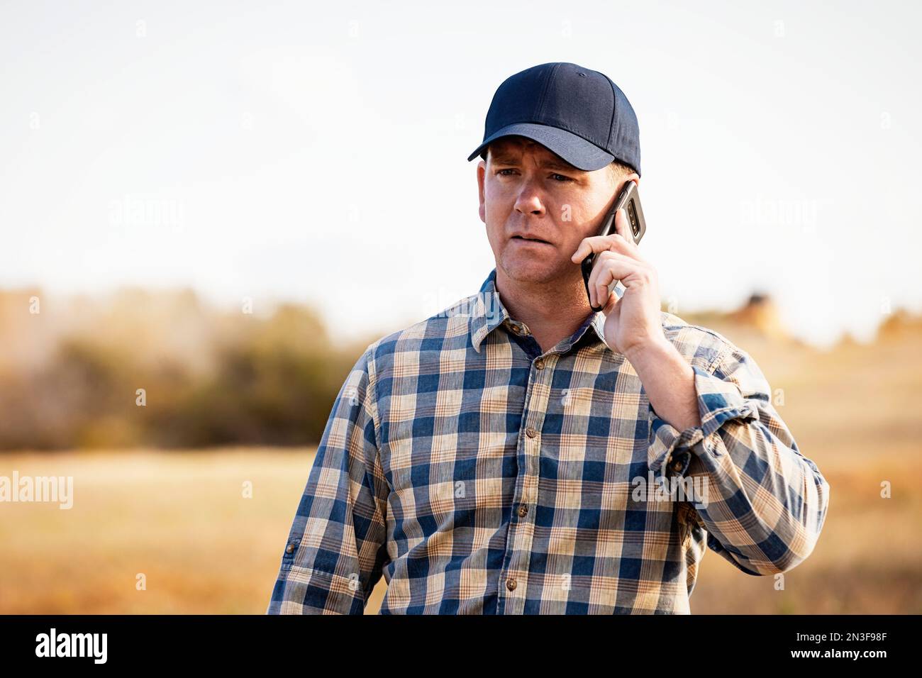 A man talking on a smart phone while monitoring and completing fall canola harvest; Alcomdale, Alberta, Canada Stock Photo