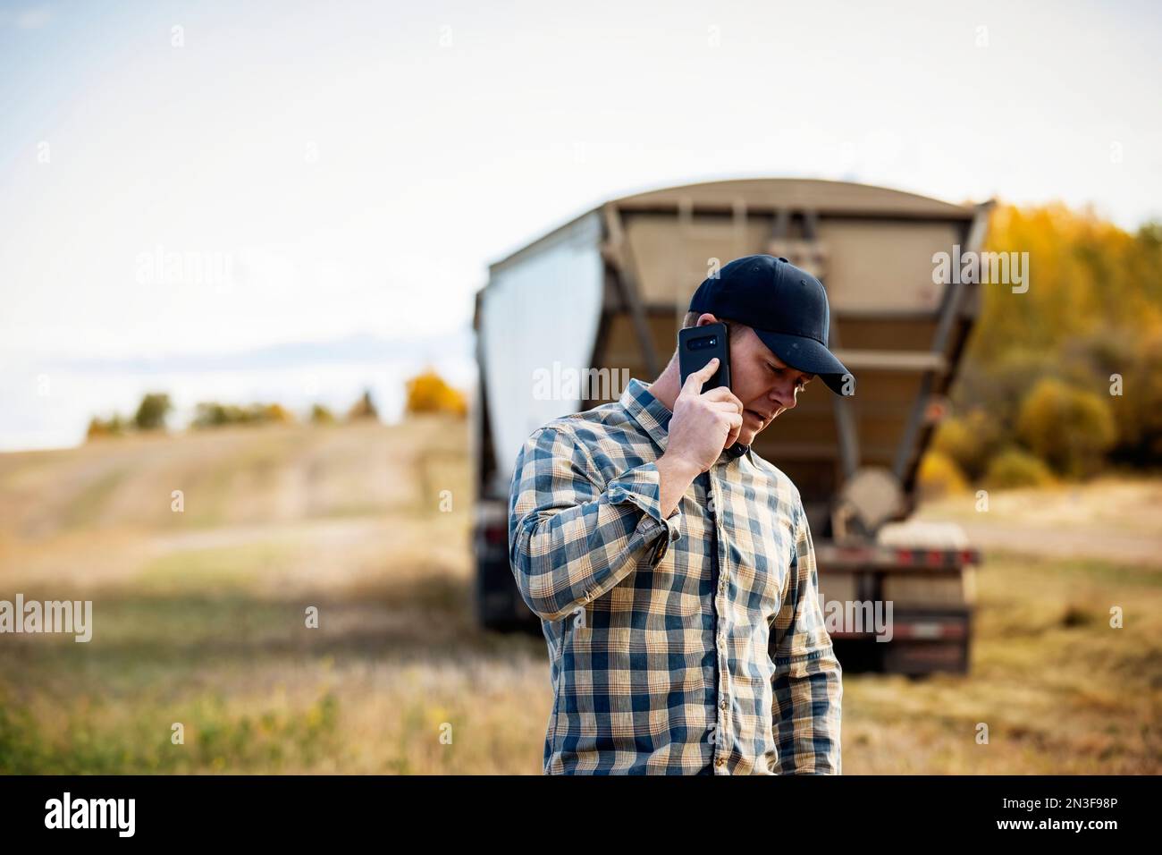 A man talking on a smart phone while monitoring and completing fall canola harvest and checking his load of canola in a grain hauler in the background Stock Photo