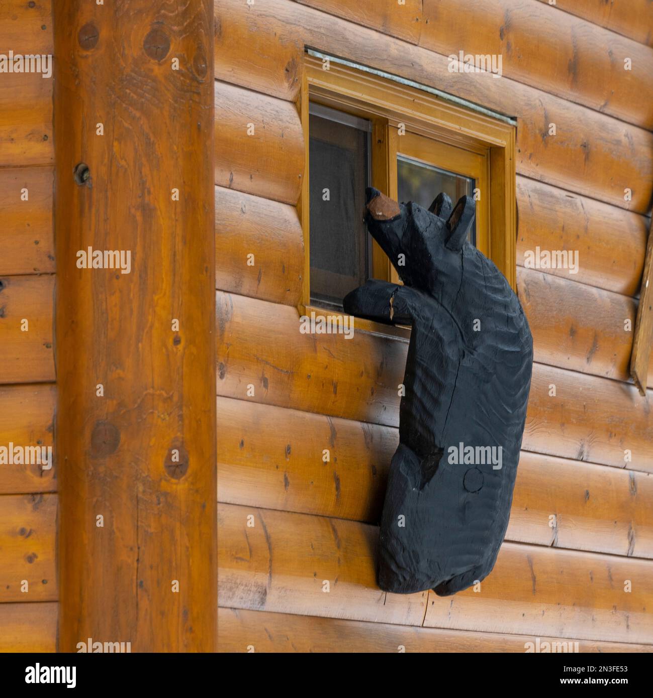 Sculpture of a black bear climbing up to a window of a log building in Banff National Park, Alberta, Canada Stock Photo