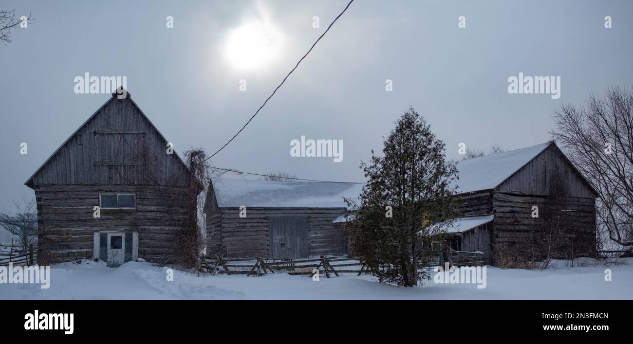 Weathered farm buildings in winter, with the sun glowing through the overcast sky; Ottawa Valley, Ontario, Canada Stock Photo