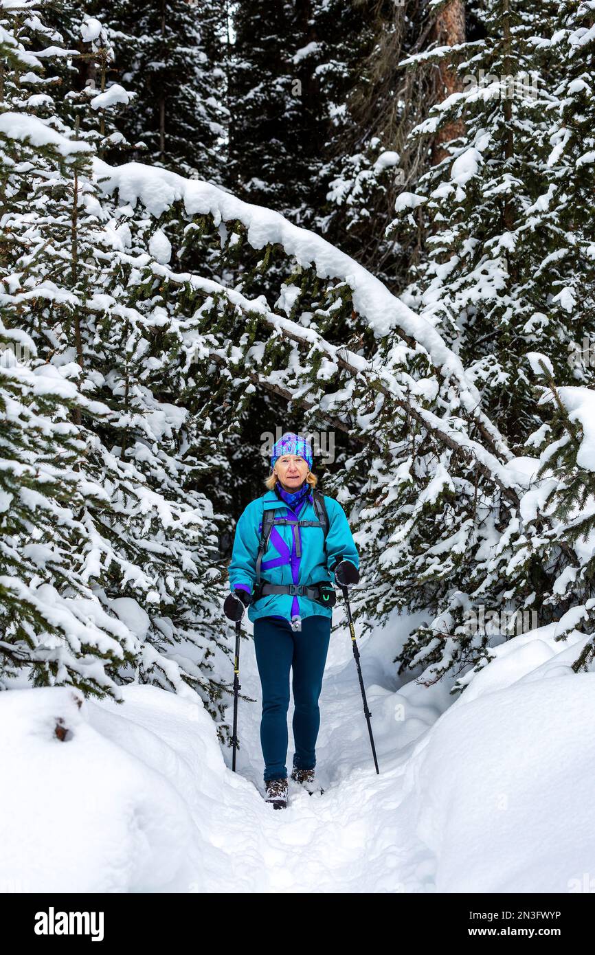 Thunder Bay Snowshoe Trekker Pole