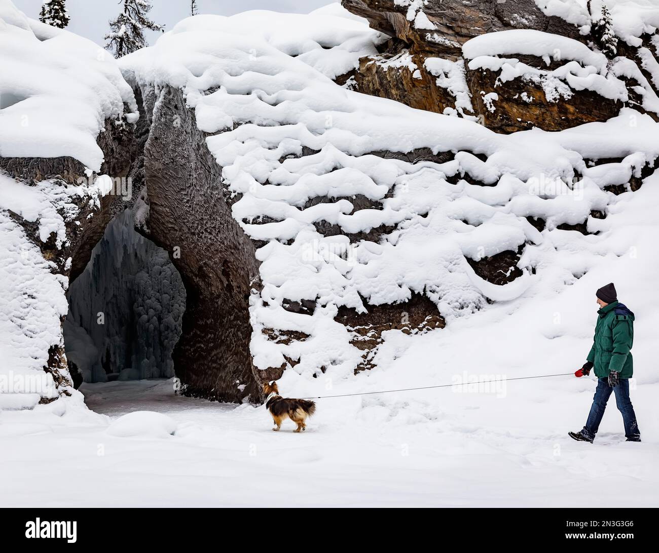 Mature man with his dog exploring the Natural Bridge on the Kicking ...