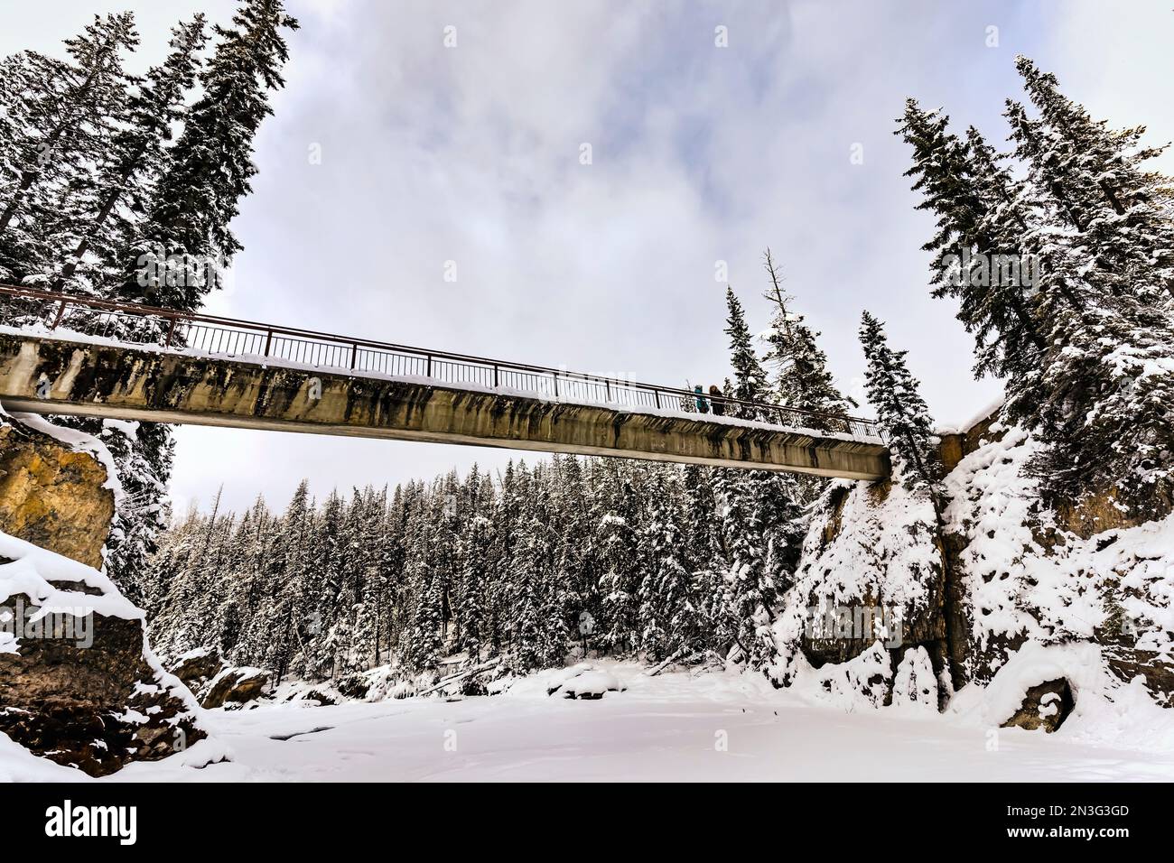 Two mature women using the pedestrian walkway across the Kicking Horse River during winter near the Natural Bridge in Yoho National Park Stock Photo