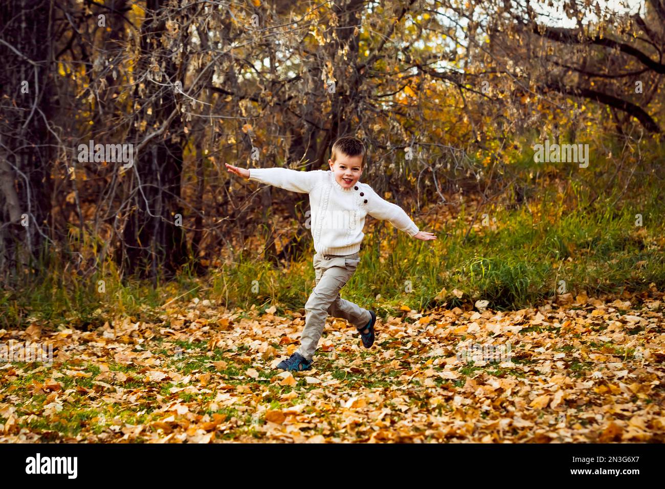 Young boy playing airplane and running in a city park during a family outing in the fall season; St. Albert, Alberta, Canada Stock Photo