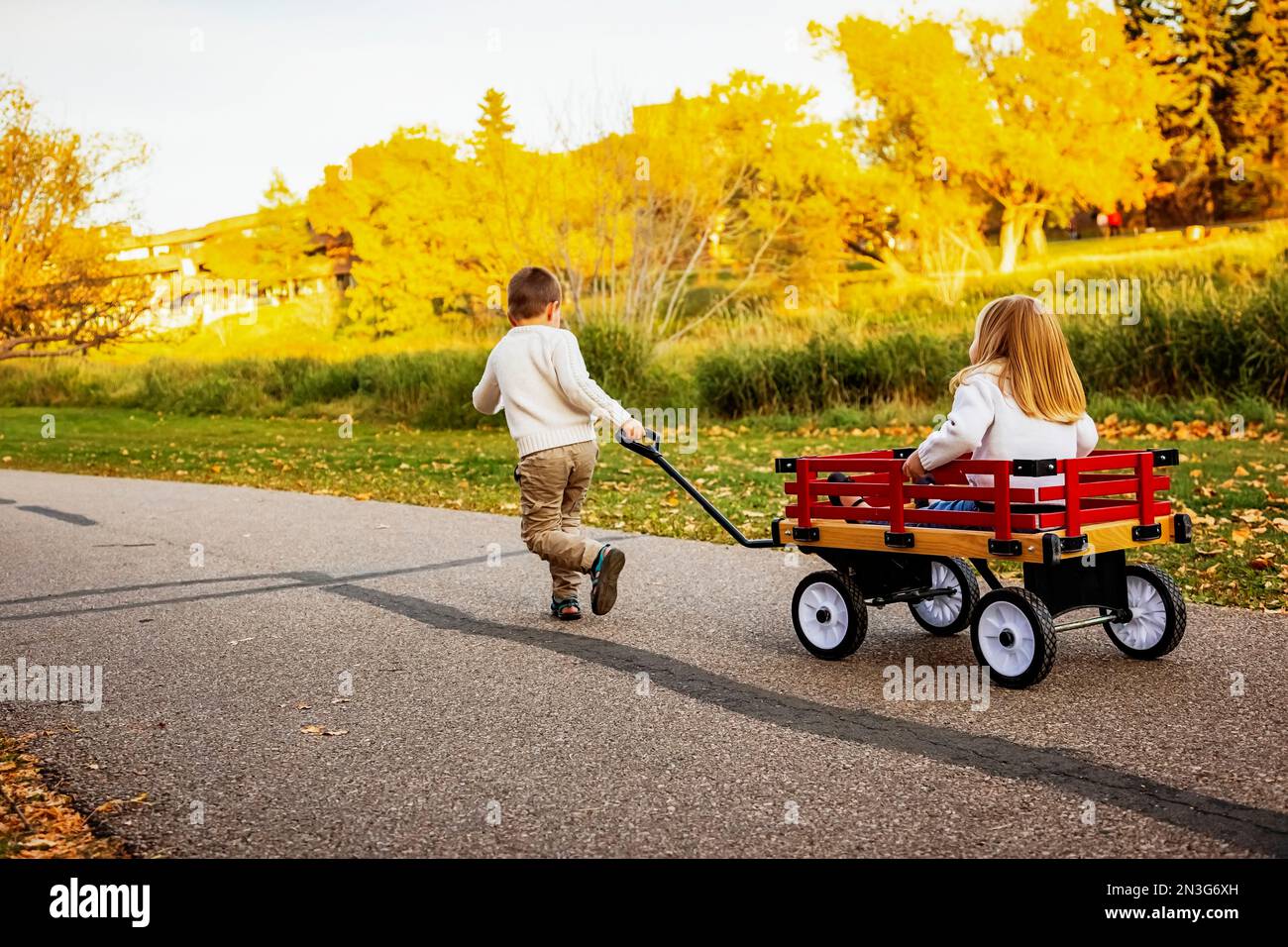 Young boy pulling his sister in a wagon at a city park along a river during the fall season; St. Albert, Alberta, Canada Stock Photo