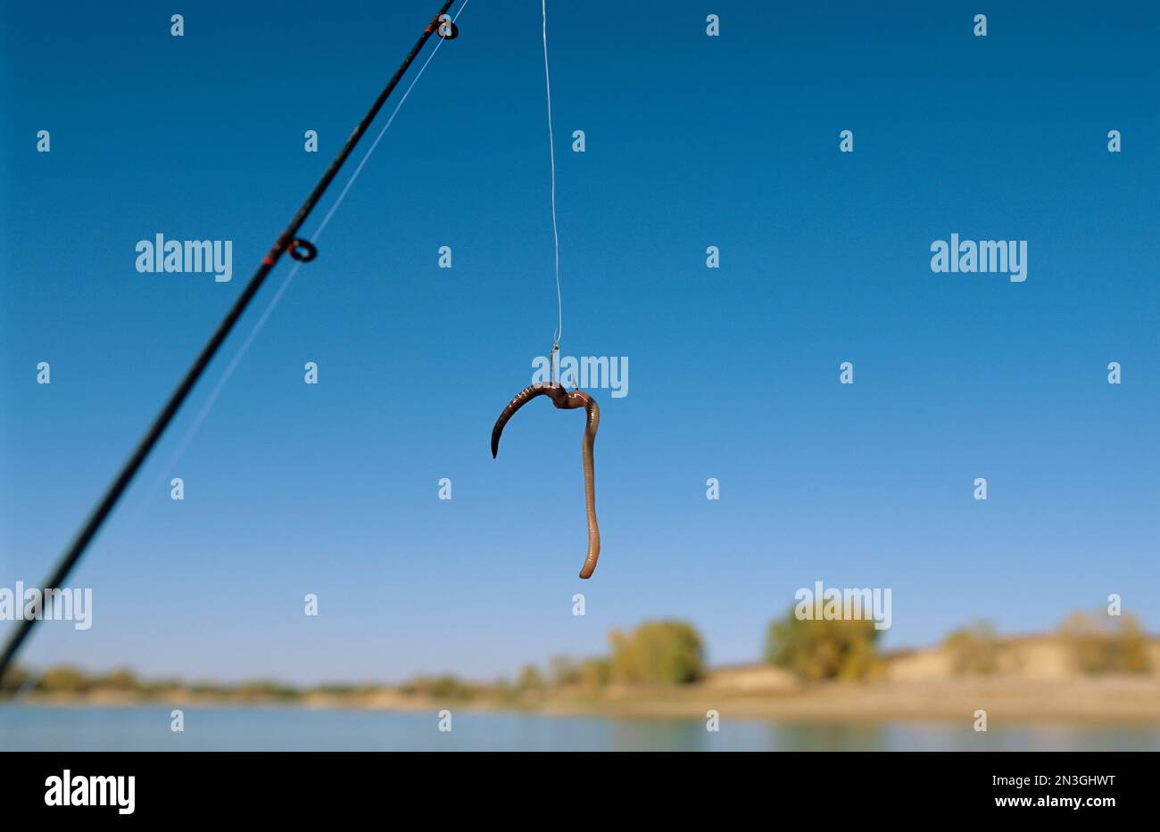 Fishing hook worm hi-res stock photography and images - Page 2 - Alamy