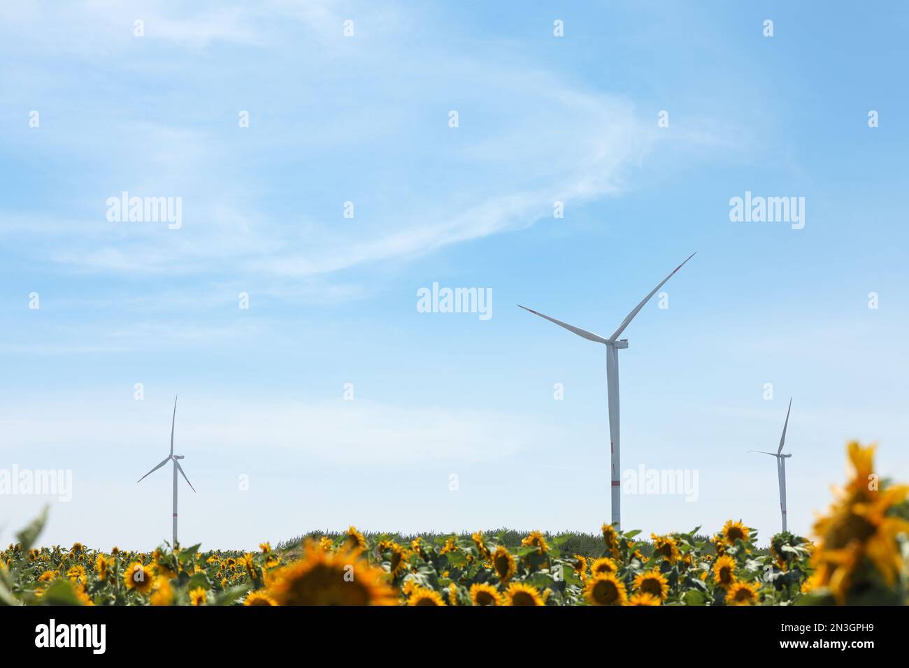 Sunflower field and windmill hi-res stock photography and images - Alamy