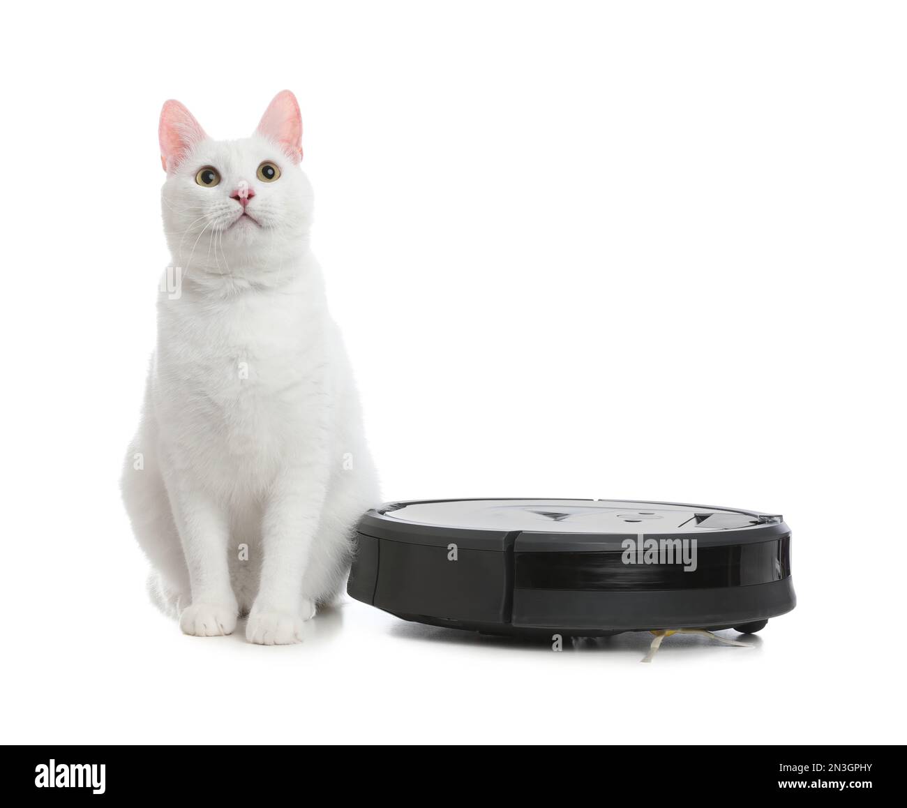 Modern robotic vacuum cleaner and cute cat on white background Stock