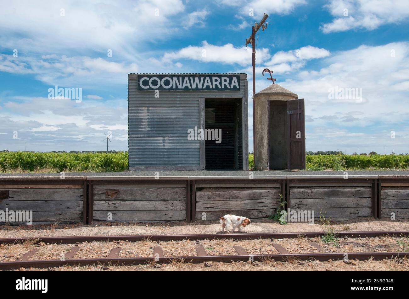Historic railway siding at Coonawarra, South Australia Stock Photo Alamy