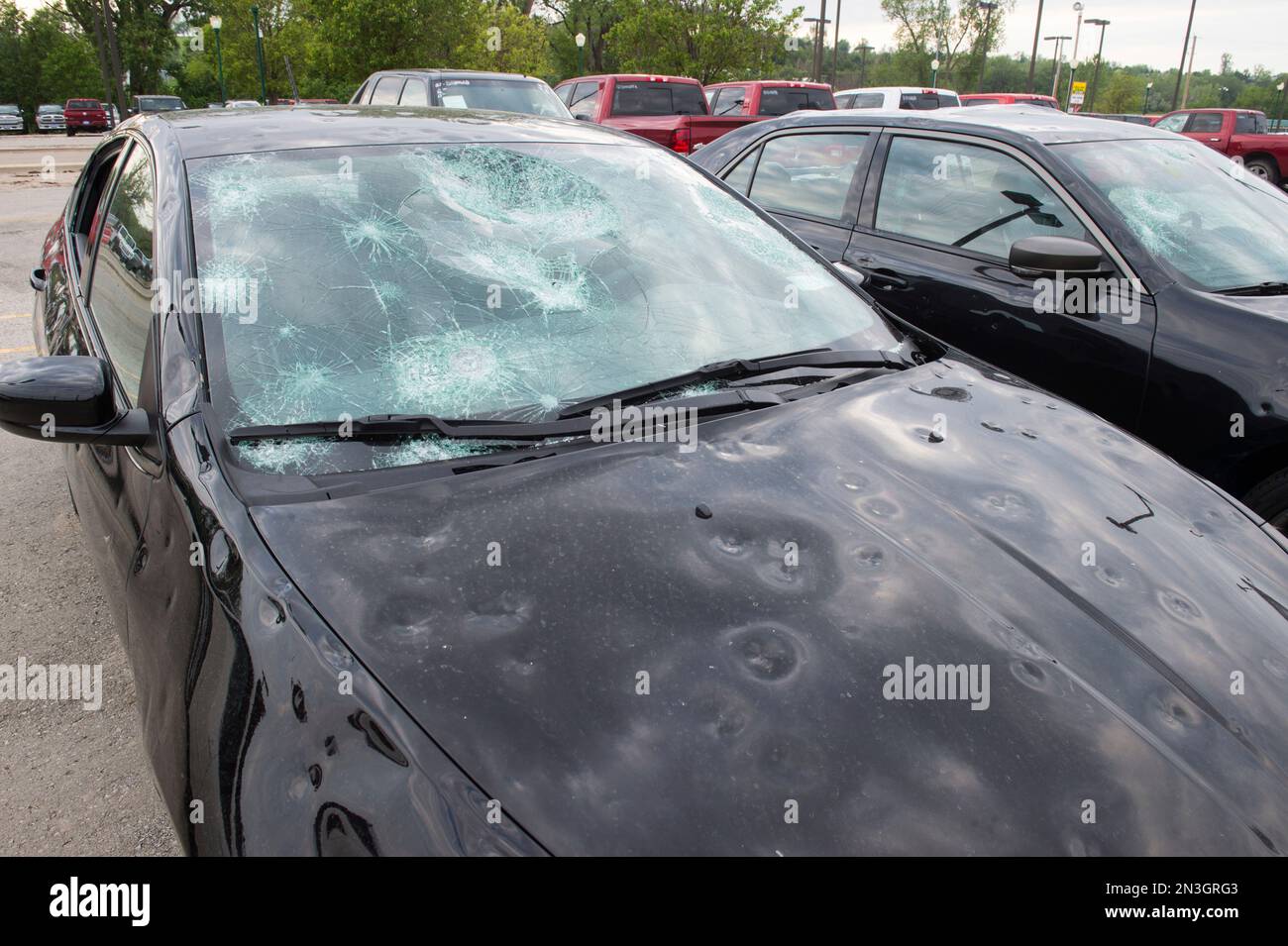 Parked car with severe hail damage; Blair, Nebraska, United States of America Stock Photo