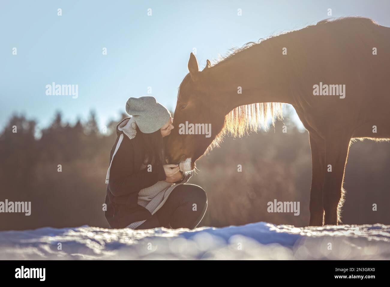 Portrait of an equestrian woman riding on her horse in front of a rural snowy winter landscape during sundown outdoors Stock Photo