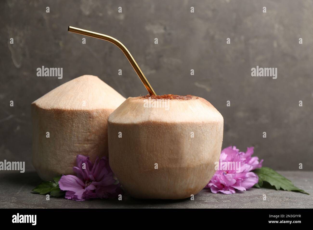 Young peeled coconuts with straw, palm leaf and beautiful flower on grey table Stock Photo