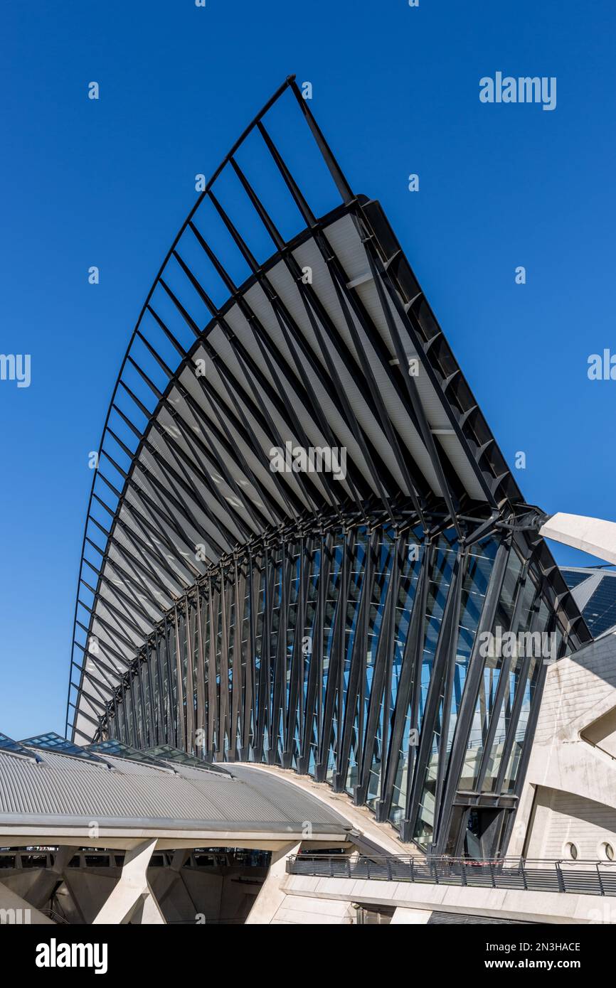 TGV station Gare de Lyon SaintExupéry airport, designed by architect Santiago Calatrava Stock