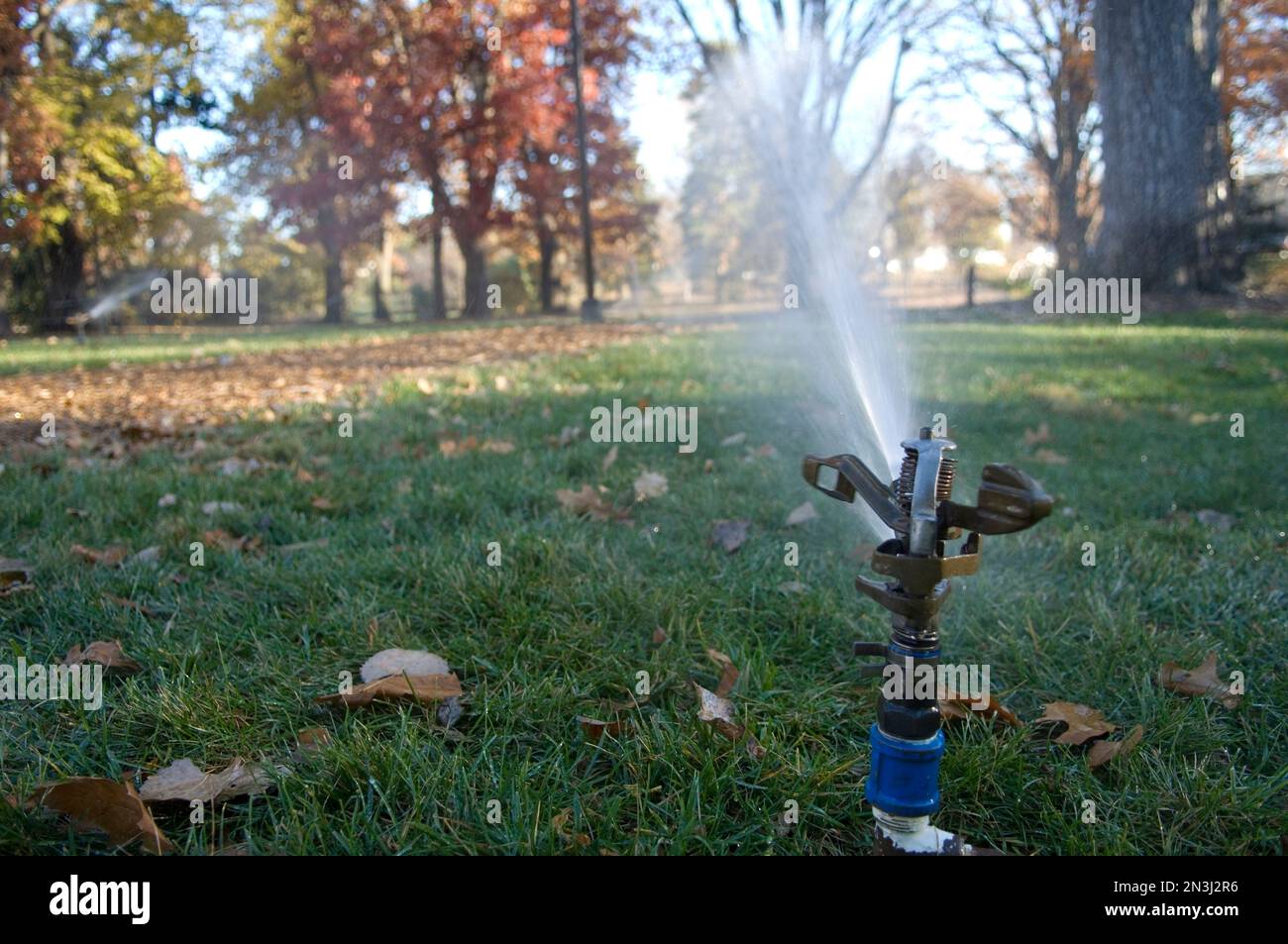 Lincoln park botanical gardens hires stock photography and images Alamy
