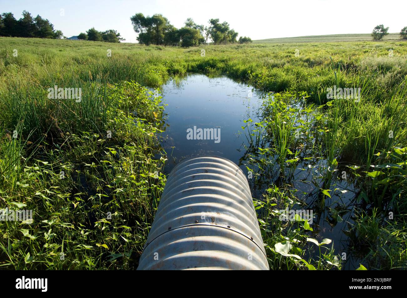 Overflow Pipe From A Farm Pond; Bennet, Nebraska, United States Of 