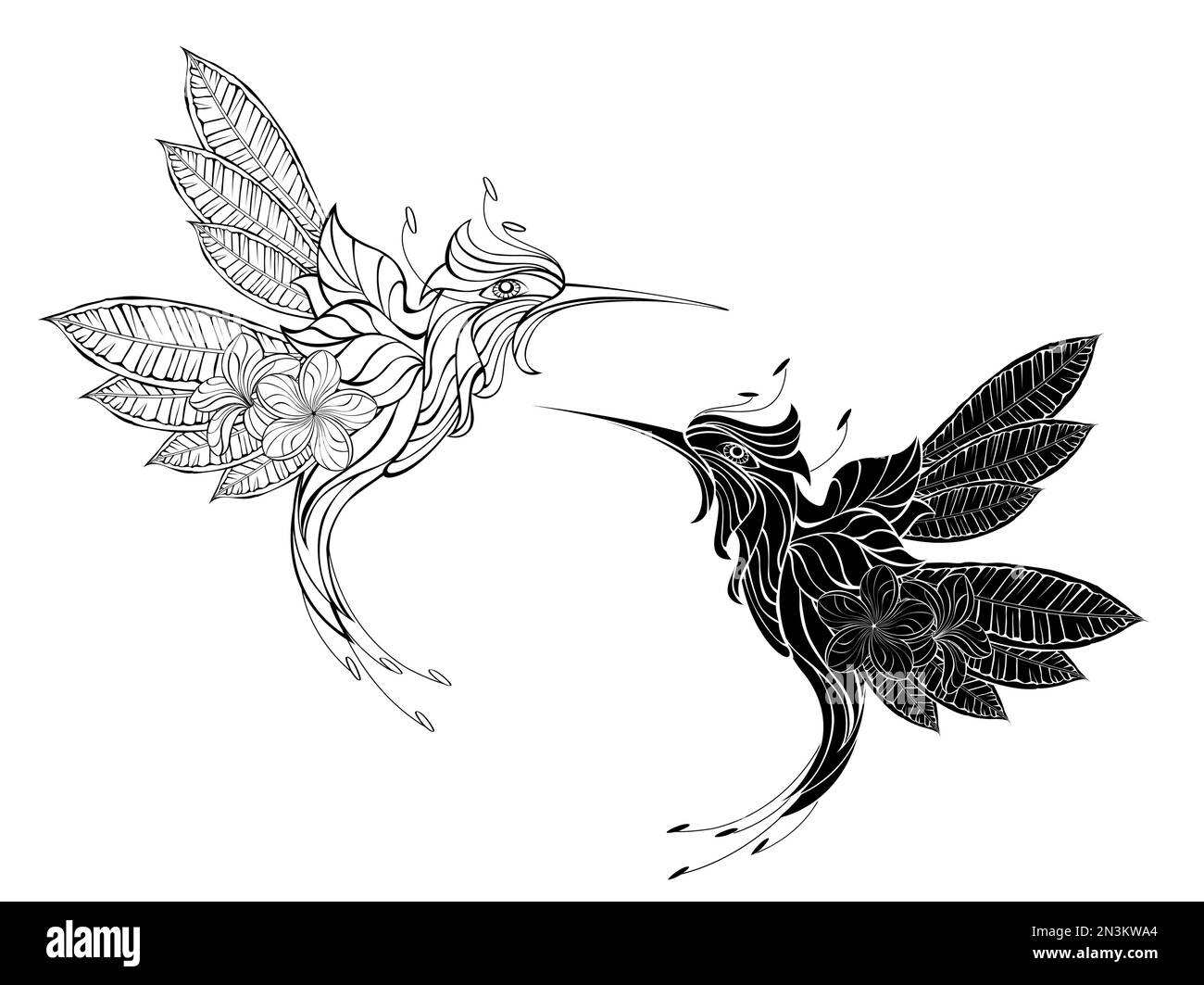 An artistically drawn, contour, silhouette, fictional hummingbird bird made of an exotic flower and with wings made of contoured, detailed plumeria le Stock Vector