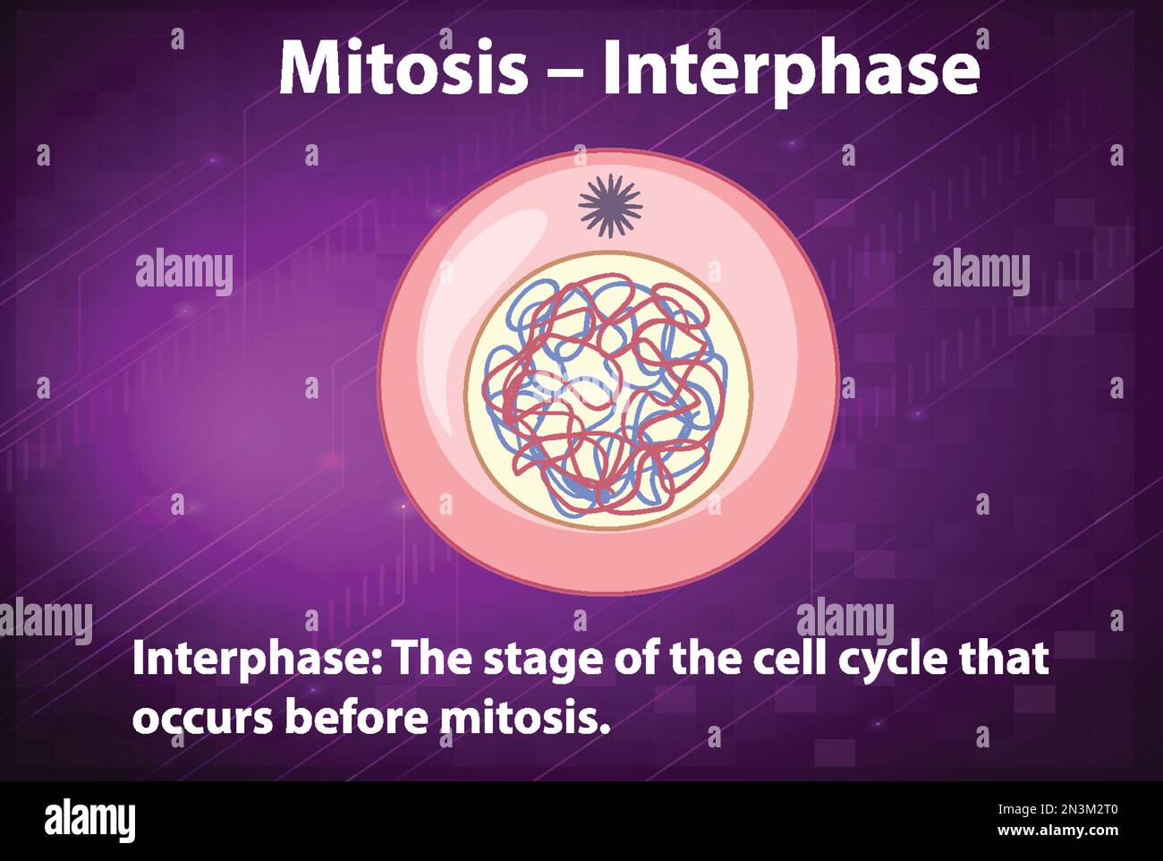 Interphase hi-res stock photography and images - Alamy