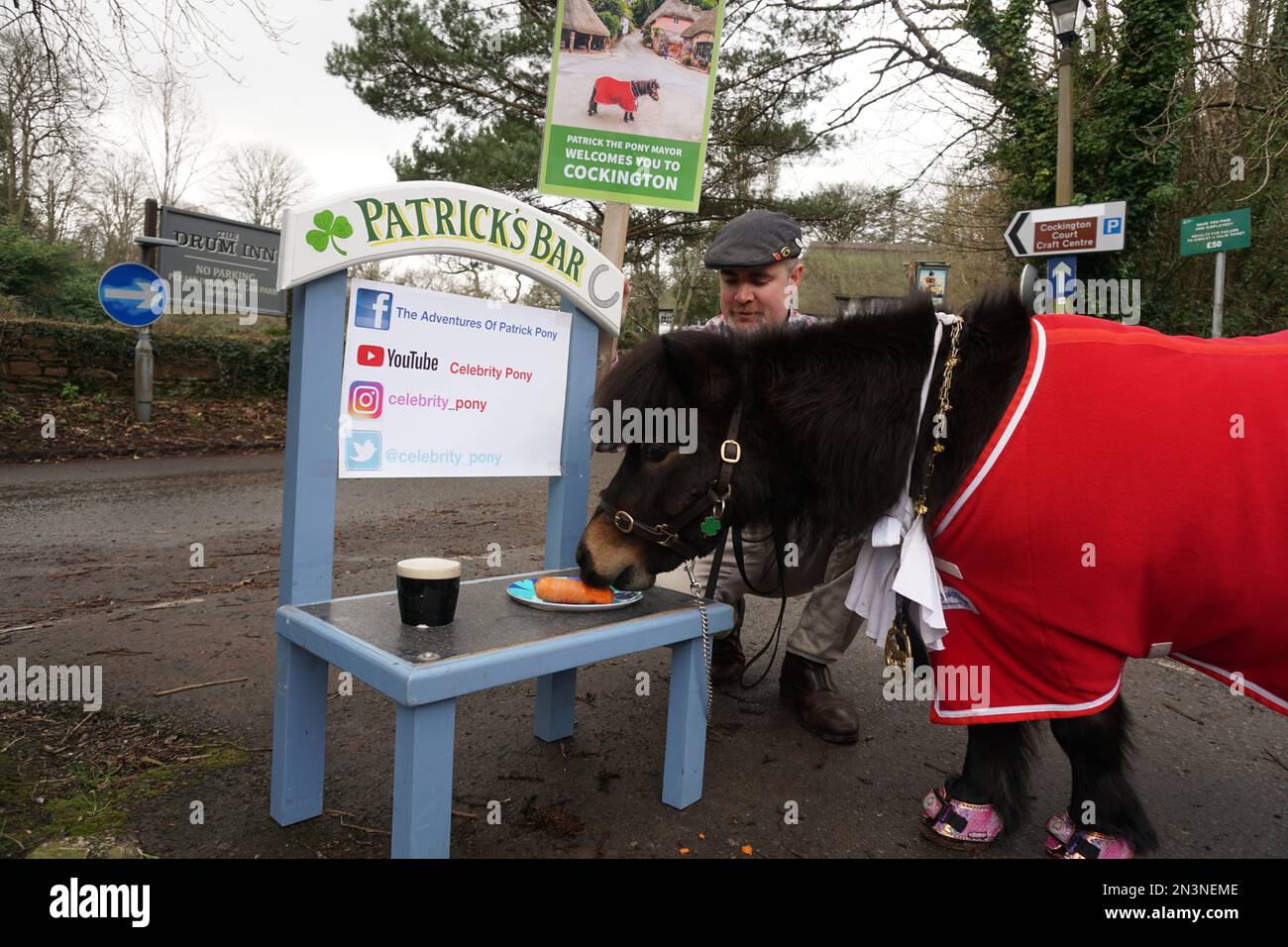 03 February 2023, Great Britain, Cockington: The Shetland pony Patrick, unofficial mayor of the English village of Cockington, eats a carrot and takes a sip of Guiness at his mobile, light blue 'Patrick's Bar' after his walk around the village - his owners are convinced that this is healthy for ponies in moderation. When the mayor of Cockington makes his rounds, you can hear his hooves clattering from afar - because at the head of the English village of Cockington is a Shetland pony. But not everyone likes it. (to dpa 'Mayor in fluffy - How a pony rules an English village') Photo: Larissa Schw Stock Photo