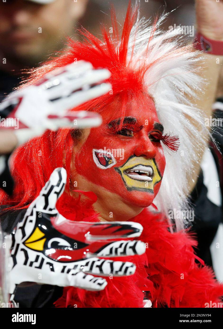 Welcoming back Carolina Panthers quarterback Cam Newton a Panthers fan  holds up a sign prior to an NFL football game against the Arizona Cardinals  Sunday, Nov. 14, 2021, in Glendale, Ariz. The