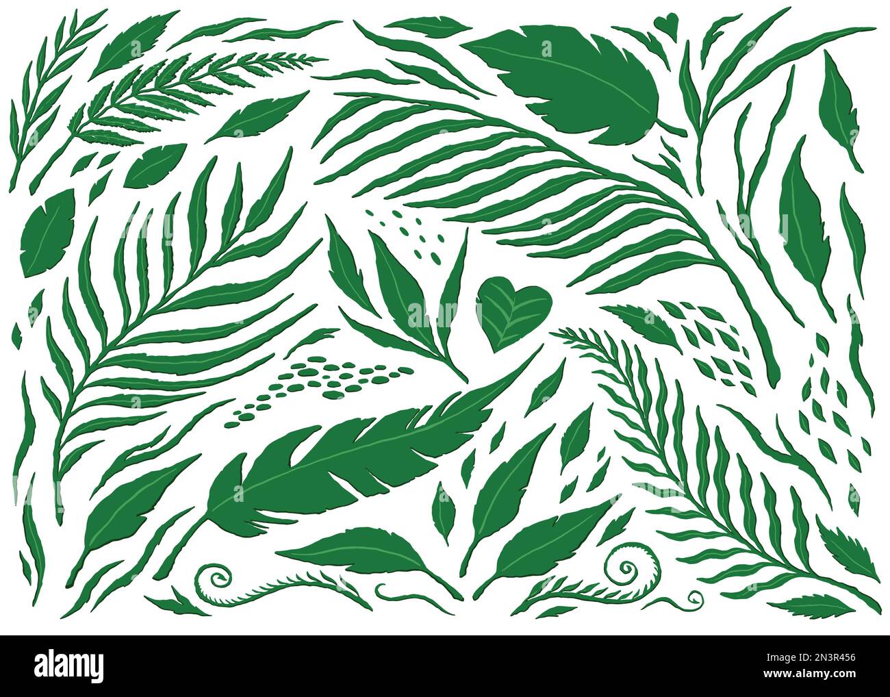 Jungle leaves collection set. Vector Illustration Stock Vector Image & Art Alamy