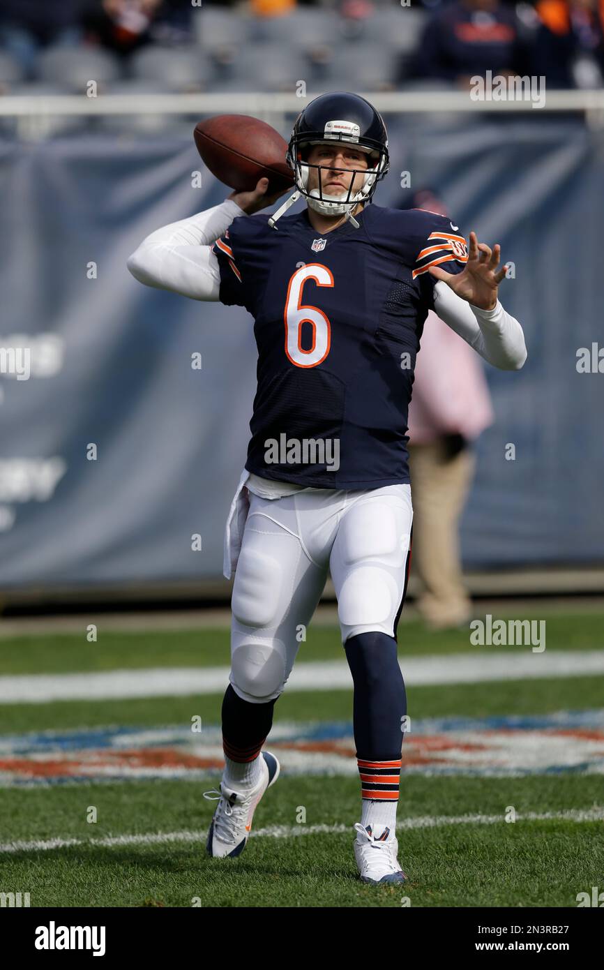 Jay Cutler, Miami Dolphins Stock Photo - Alamy