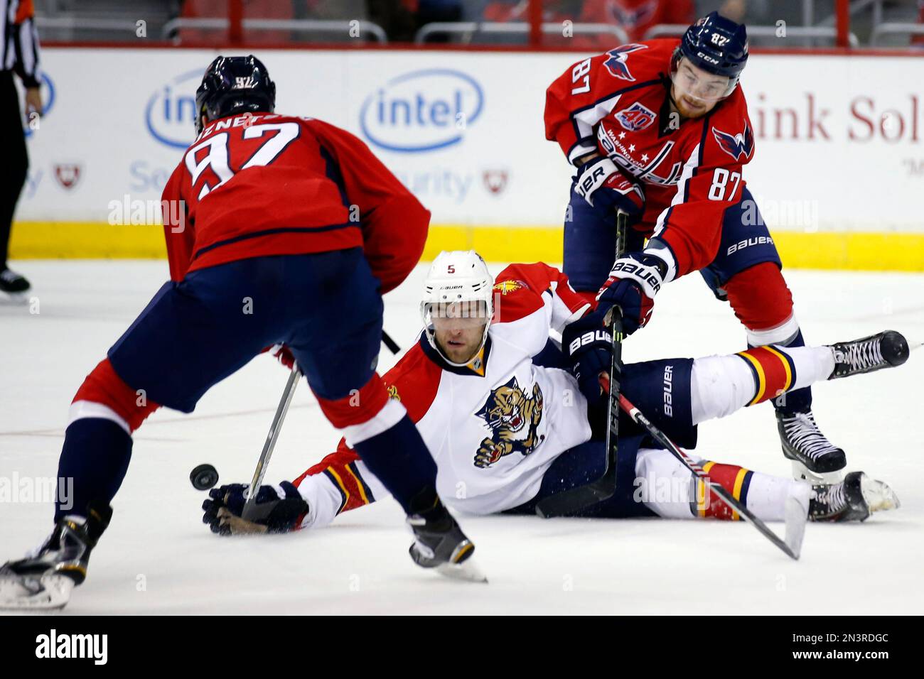 Photo gallery: Panthers at Capitals, Sat., Oct. 18, 2014