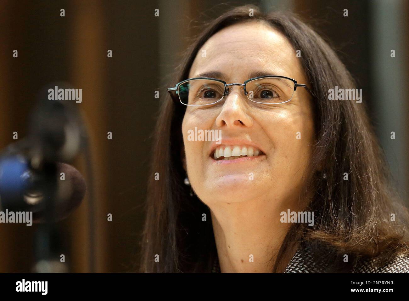 Attorney General Lisa Madigan speaks with reporters during a news conference on the Crime
