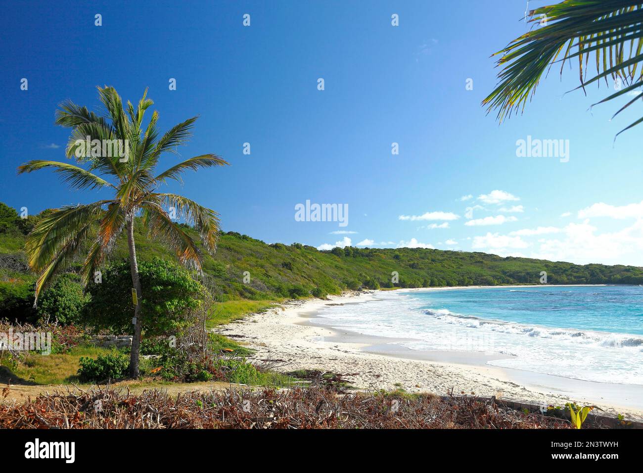 Half Moon Bay, Antigua, Caribbean Stock Photo - Alamy