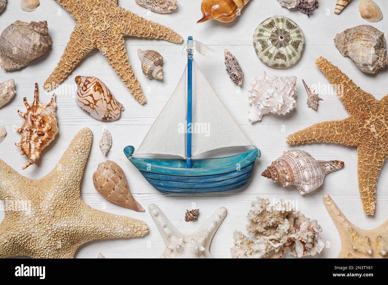 Flat lay composition with toy ship and sea shells on white wooden background Stock Photo