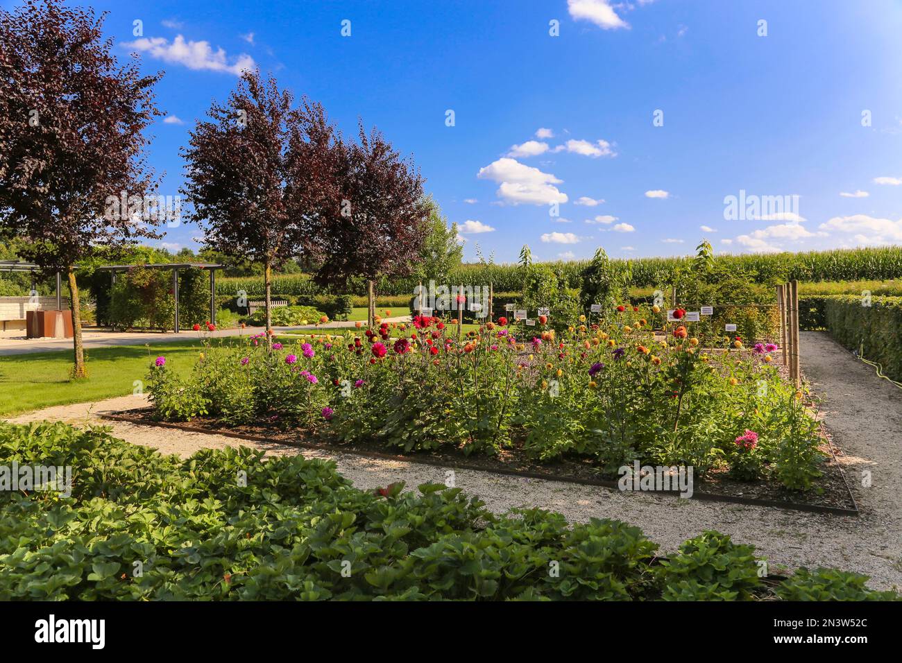 Garden of Eden, Generation Active Park, Sensory and Therapy Park