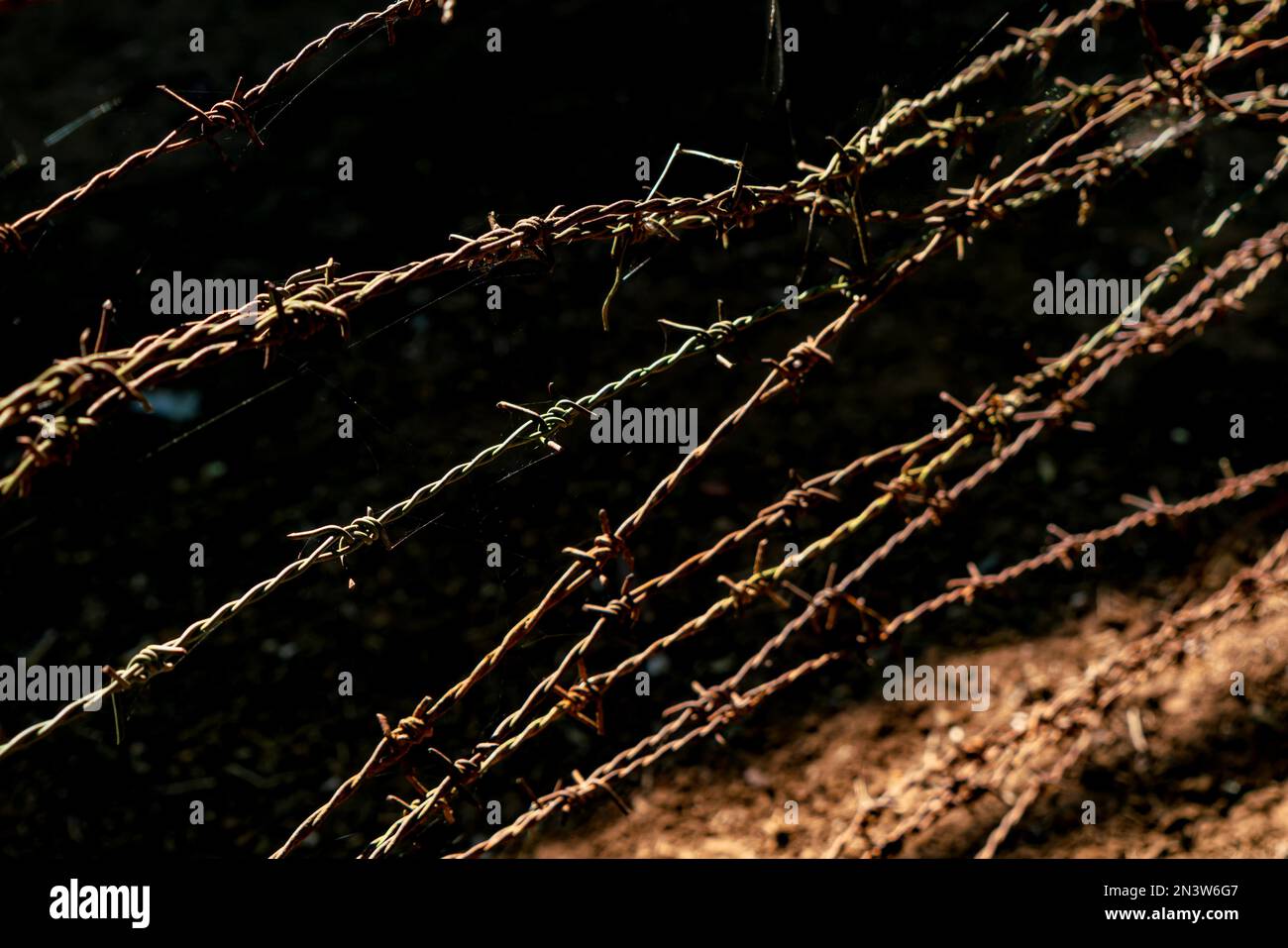 Rusty barb wire at old fence. Old barb wire fence against the dark ground Stock Photo