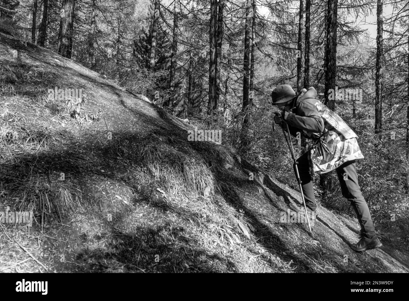 Walking guide tourism Black and White Stock Photos & Images - Alamy