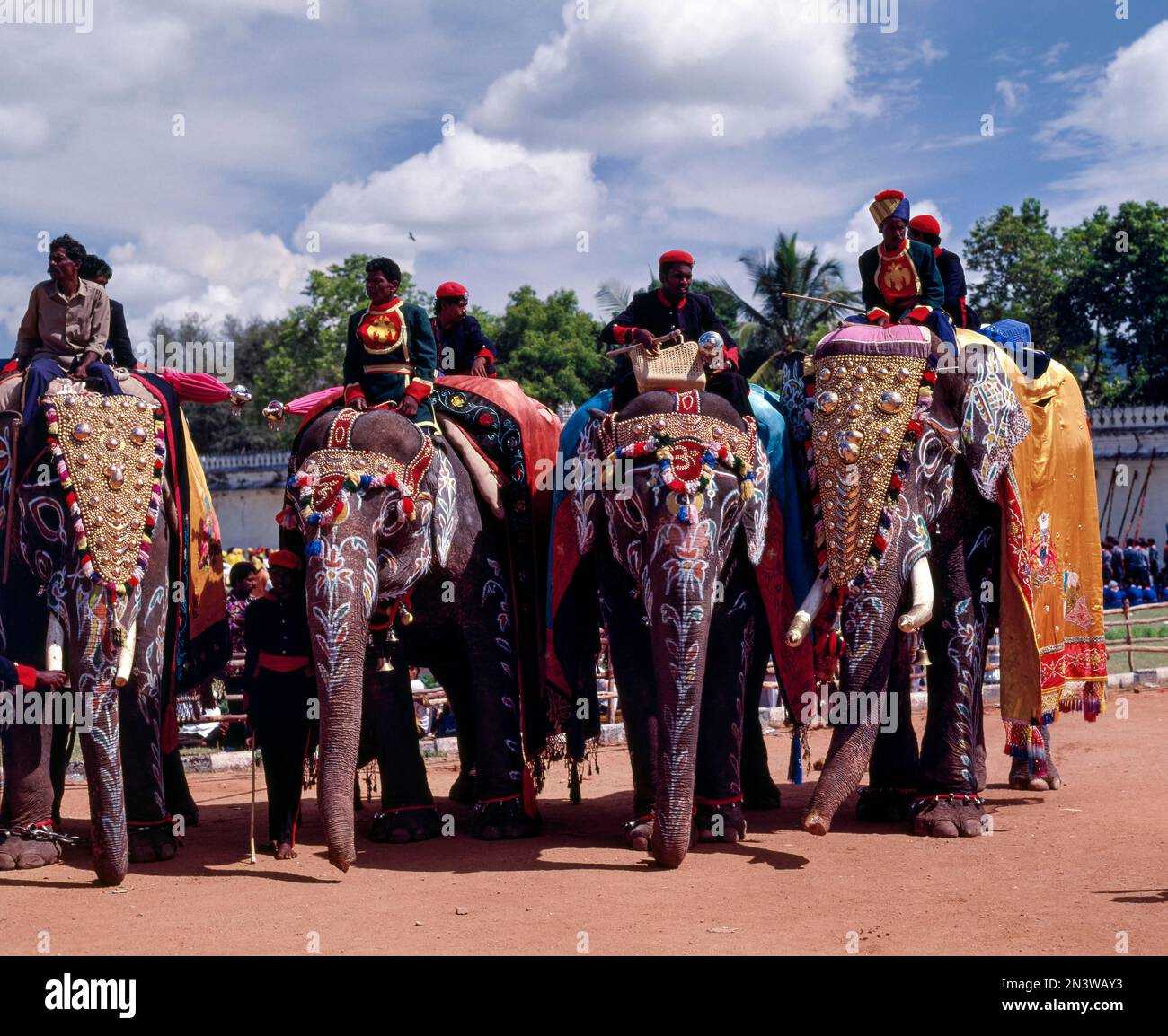 Caparisoned elephants in Dussera festival, Mysore, Mysuru, Karnataka, India, Asia Stock Photo