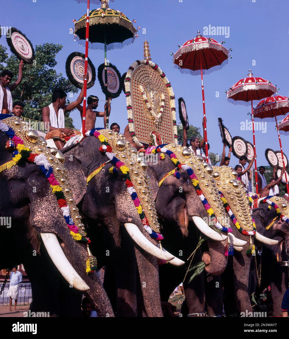 Caparisoned elephants in Pooram festival, Thrissur or Trichur, Kerala, India, Asia Stock Photo