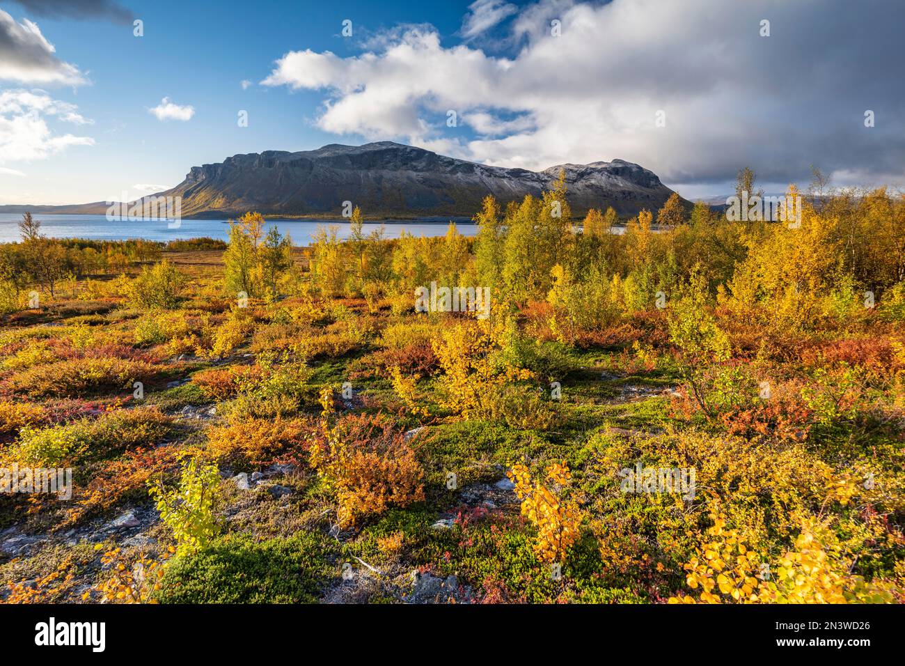 Autumn fell landscape, Stora Sjoefallet National Park, Laponia, Norrbotten, Lapland, Sweden Stock Photo