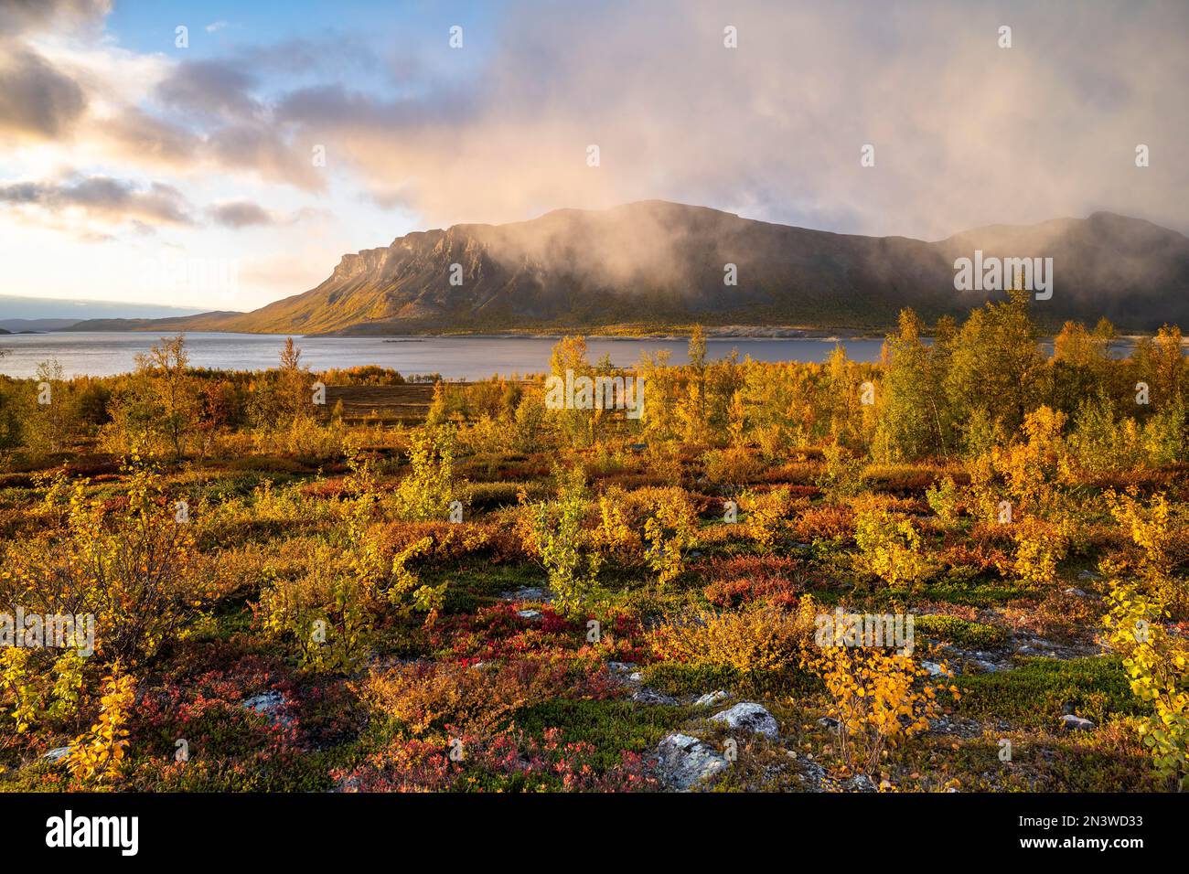 Autumn fell landscape, Stora Sjoefallet National Park, Laponia, Norrbotten, Lapland, Sweden Stock Photo
