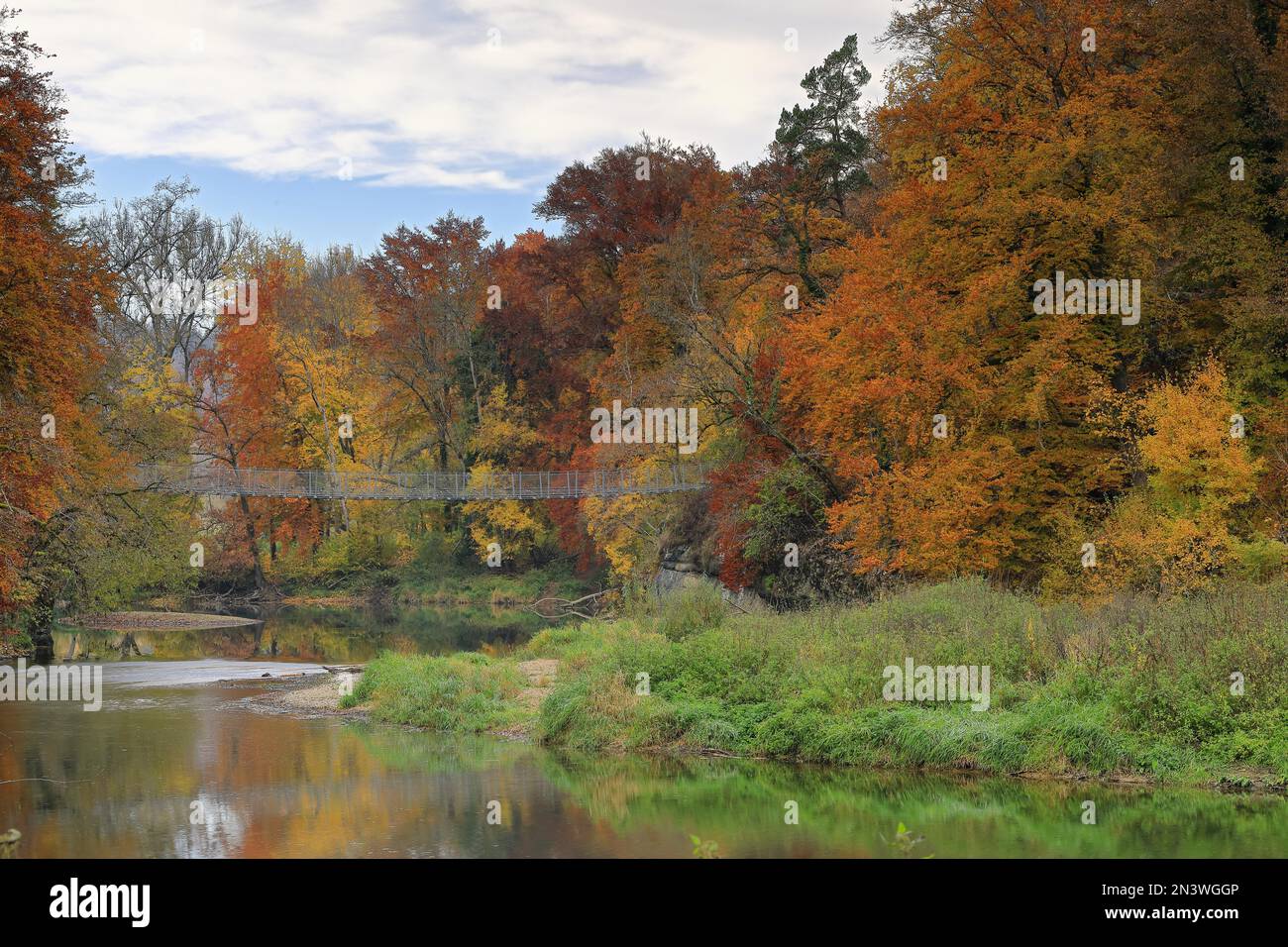 Suspension bridge over the Danube, mixed forest in autumn colour, Danube, river, Inzigkofen