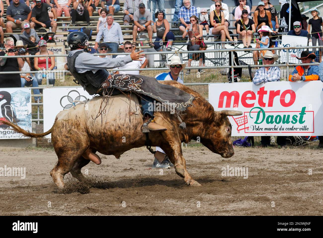 Ontario Rodeo Bull Riding Rodeo in quebec canada hi-res stock photography and images - Alamy