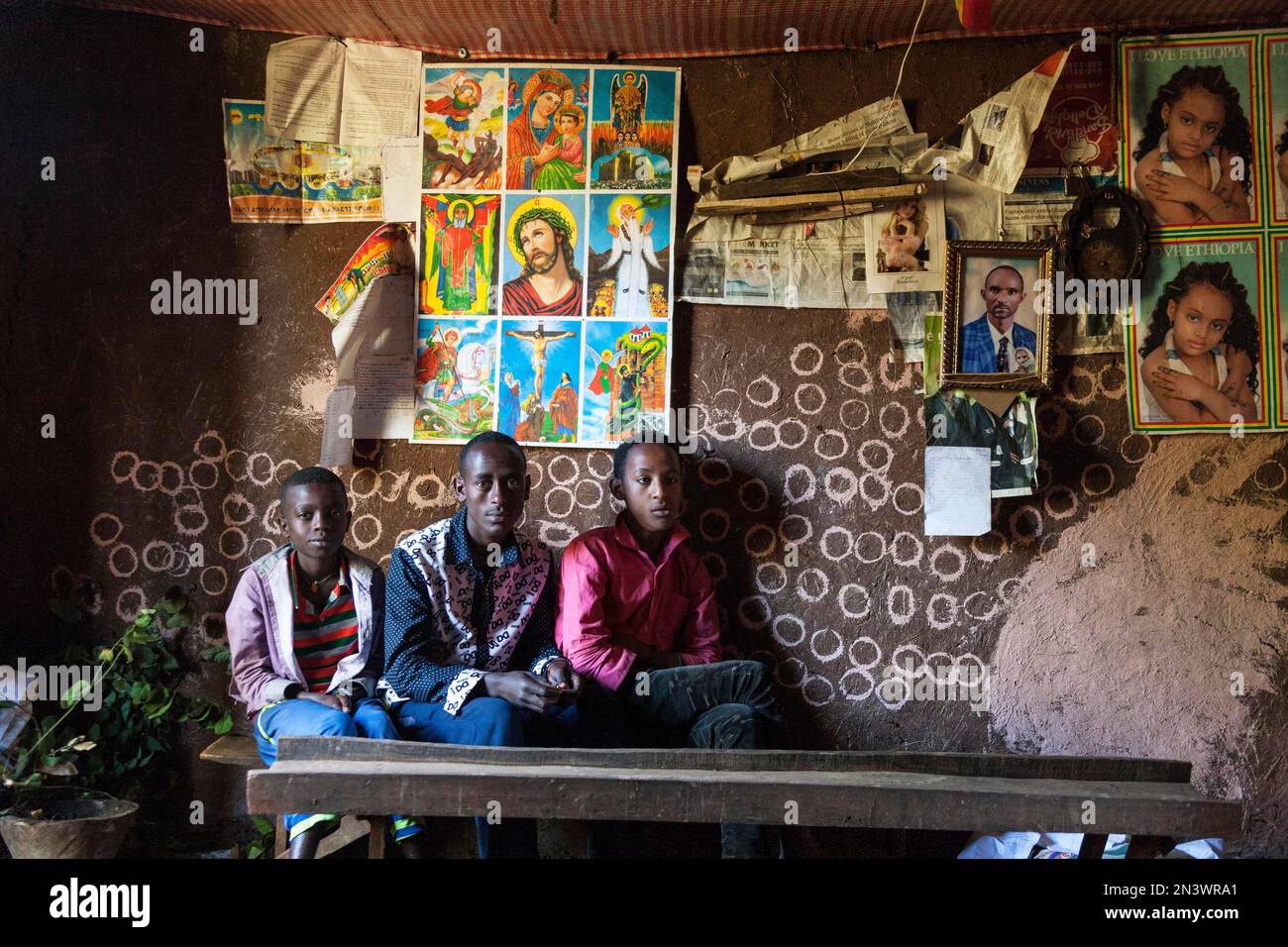 The Family Code Cracked:  Understanding Behavior Through Kinship Studies - lv8xro2