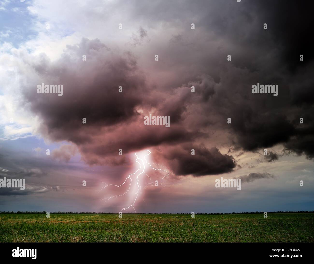 Picturesque thunderstorm over green field. Lightning striking from dark cloudy sky Stock Photo