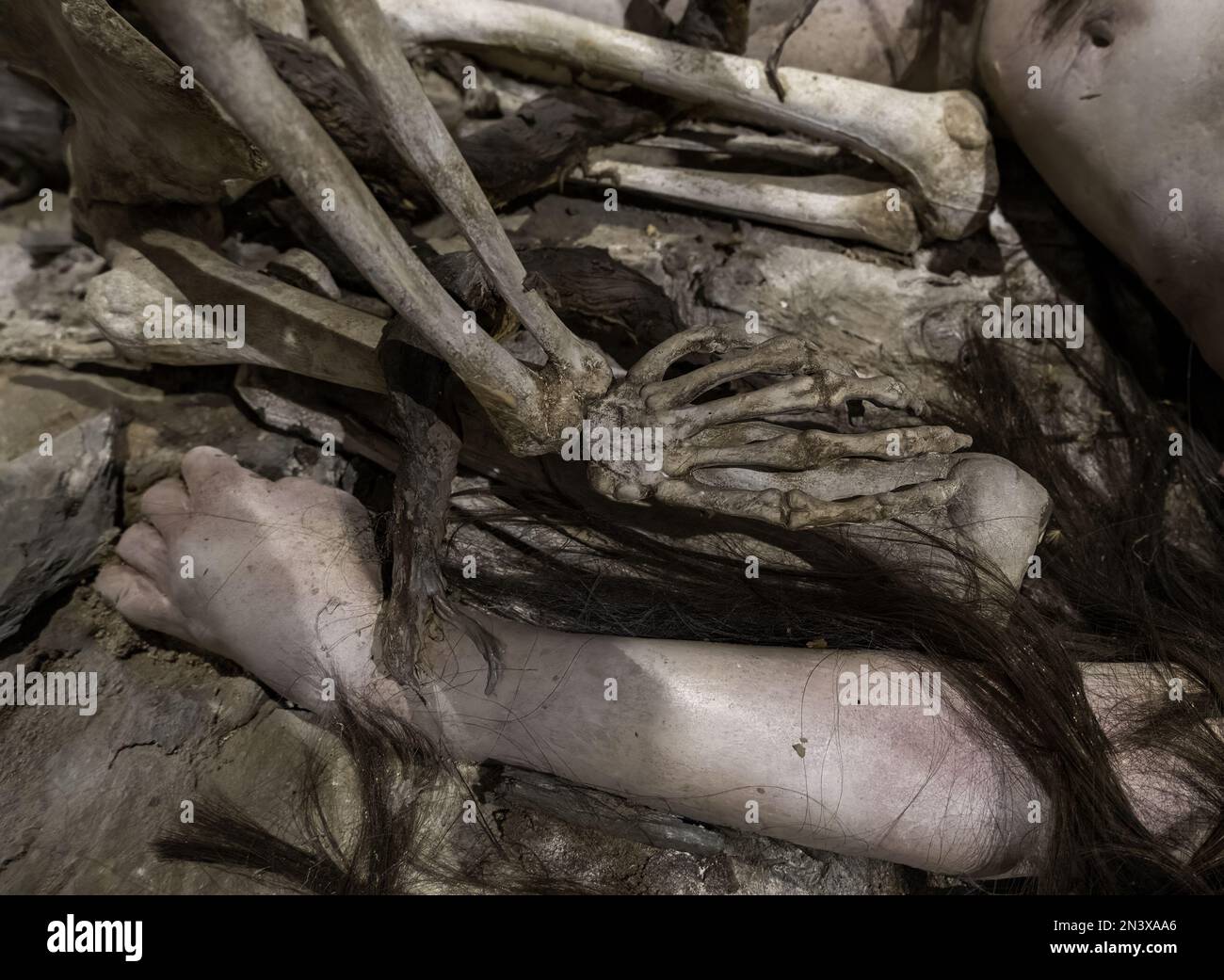 Detail of exhibition of human limbs, anatomy and modern art Stock Photo