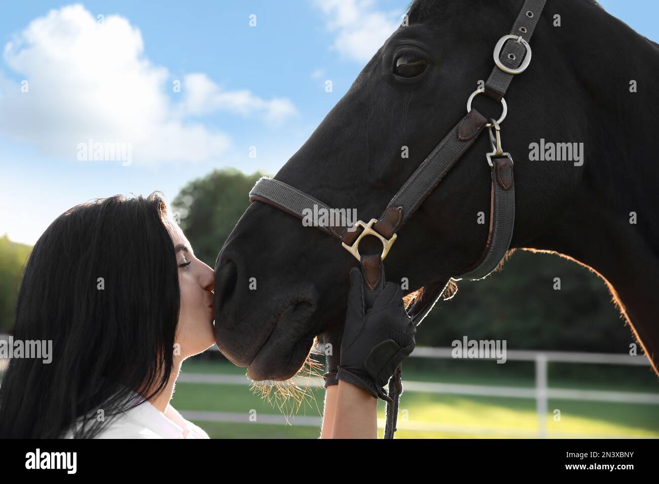 Young woman beautiful black stallion hi-res stock photography and images -  Page 6 - Alamy