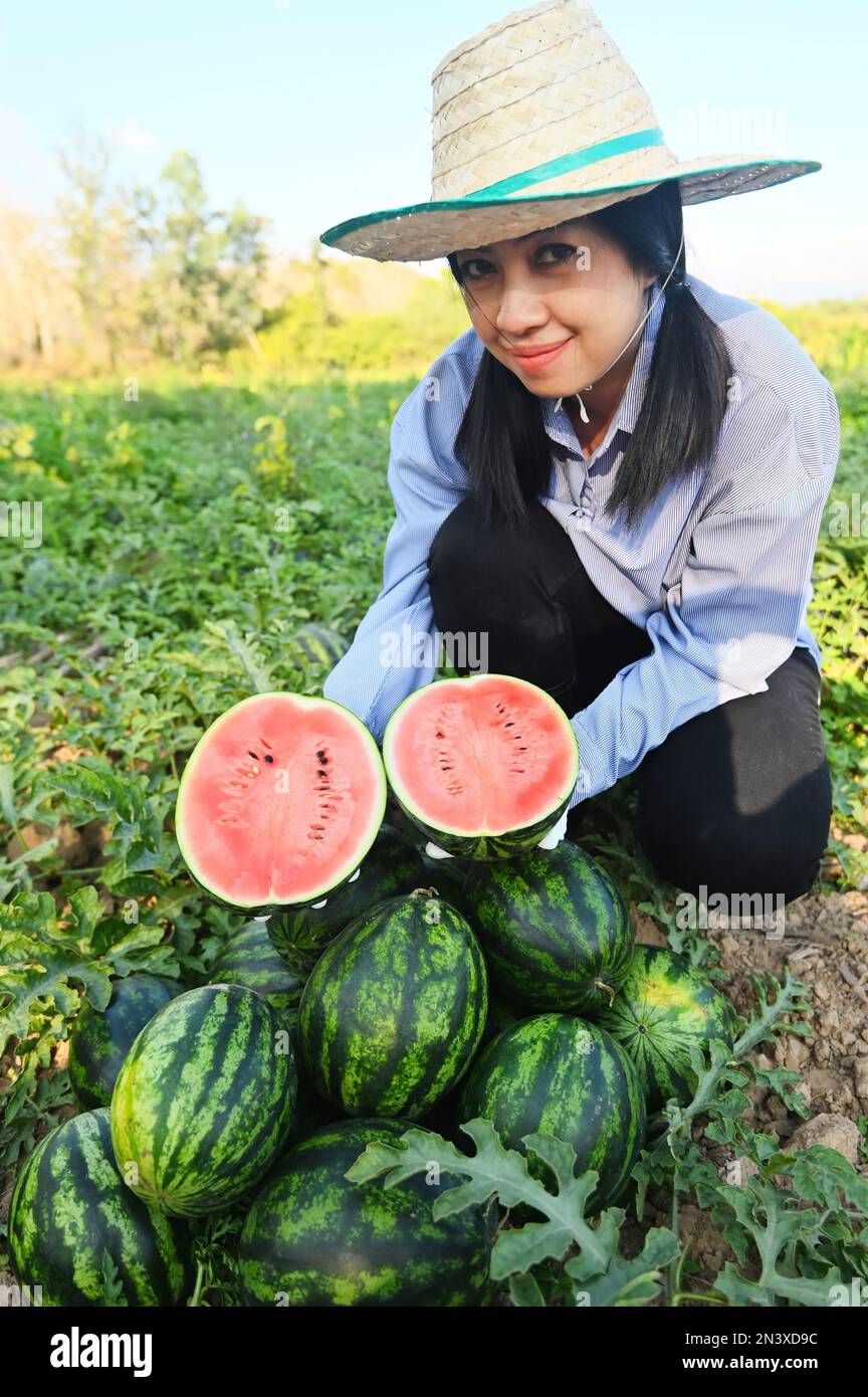 Melon farmer wife