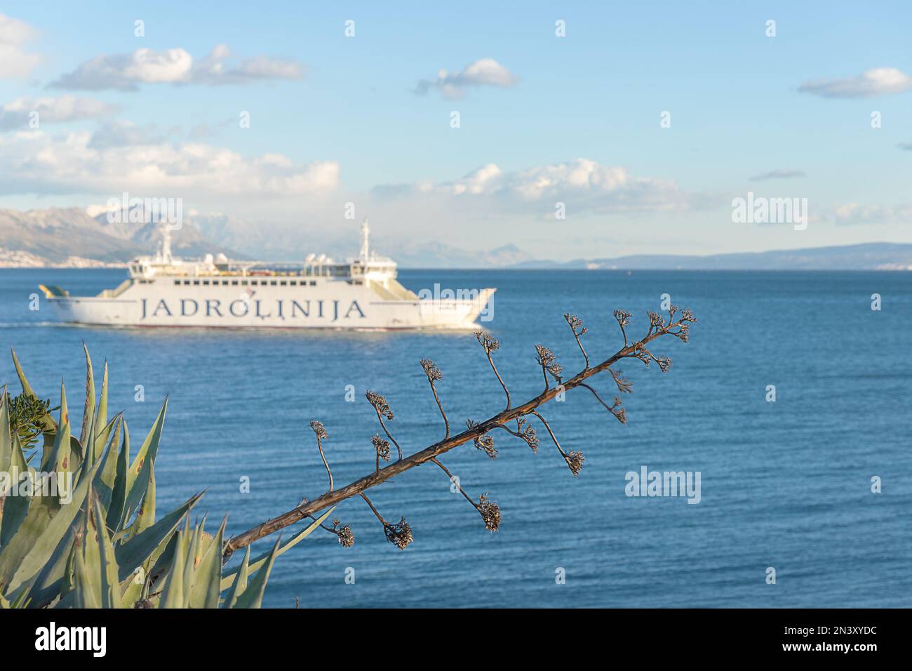 Jadrolinija ferry on the Adriatic sea in Split. Sunset in Croatia. Stock Photo