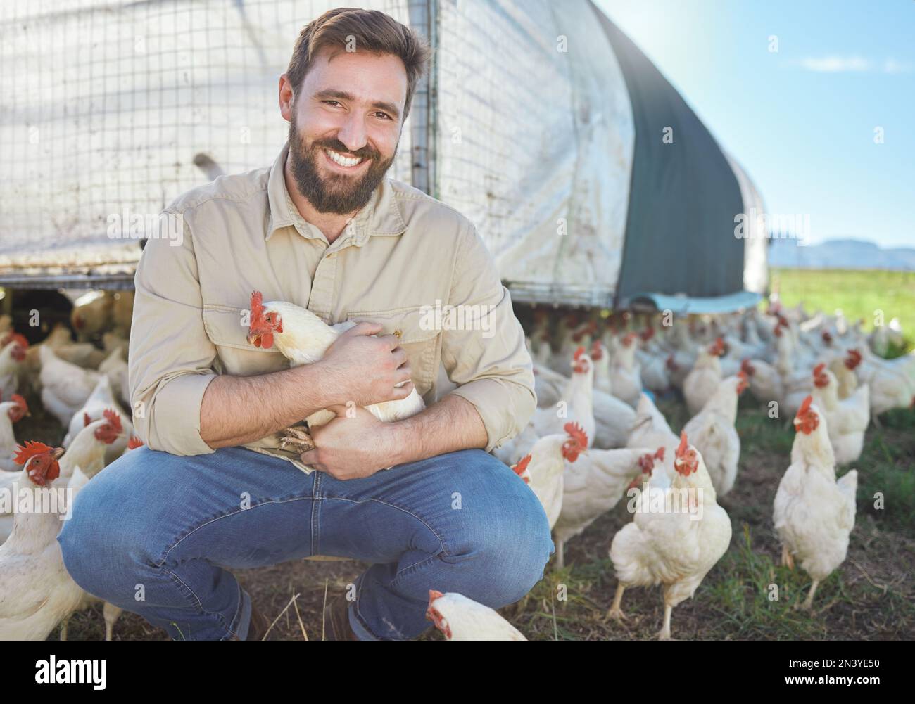 Chicken, portrait and farmer on livestock farm for sustainable