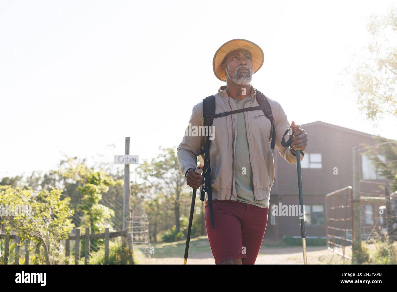 African american senior man wearing hat with hiking poles walking on forest trail Stock Photo