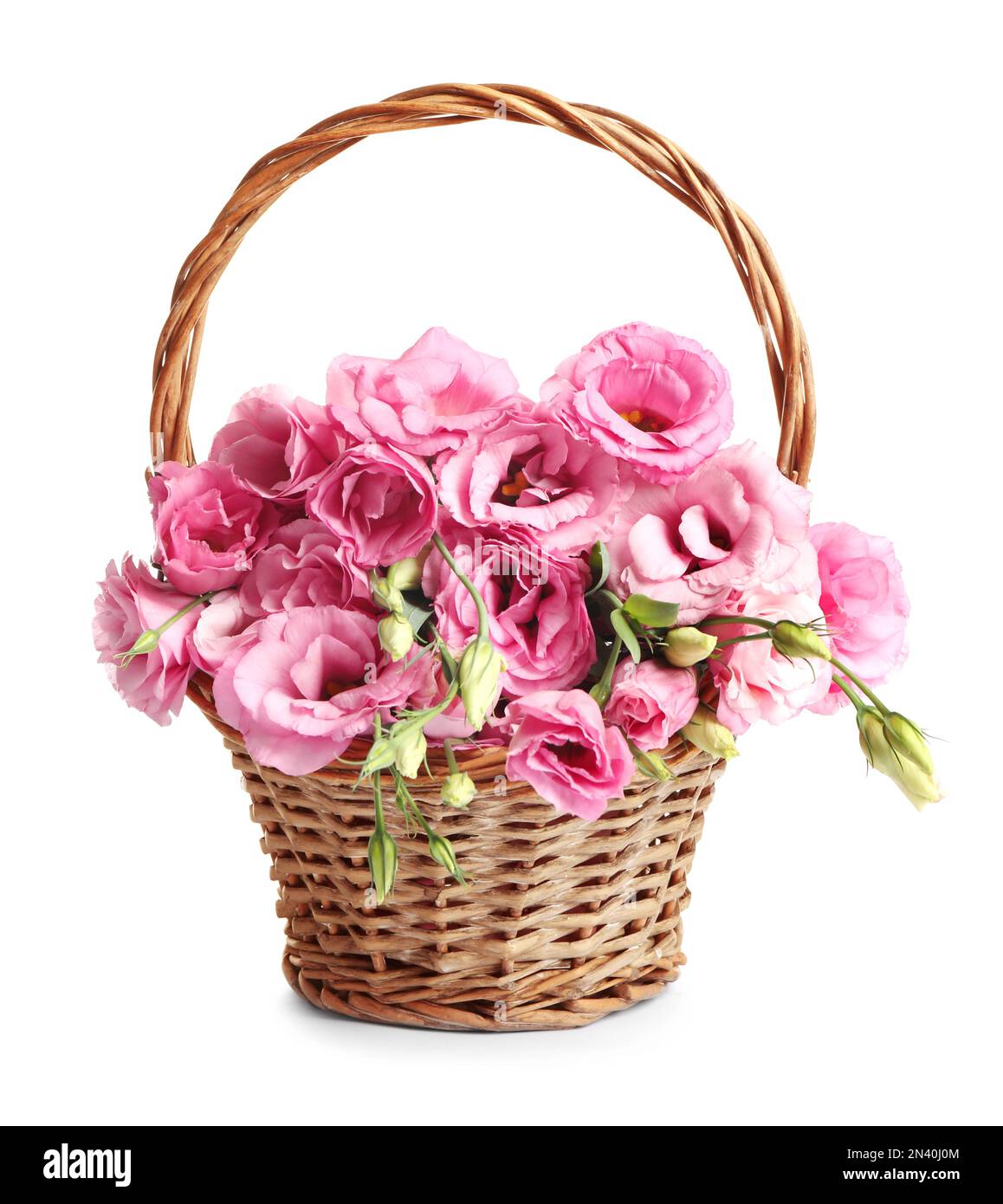 Beautiful pink Eustoma flowers in wicker basket isolated on white Stock ...